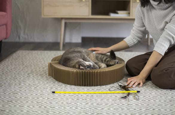 Image d'un chat gris allongé sur un grattoir circulaire en carton. Une personne, vêtue d'un pull beige et de pantalons marron, caresse le chat tout en étant assise sur un tapis texturé. Un jouet pour chat, composé de ficelles, est visible à proximité.