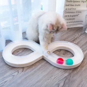 Image d'un circuit de jeu en forme d'infini pour chat, avec un chat à poils longs jouant à côté. Deux balles colorées (une rouge et une verte) sont visibles dans le circuit.