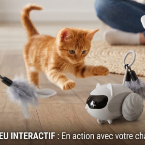 Chat jouant avec un robot souris.